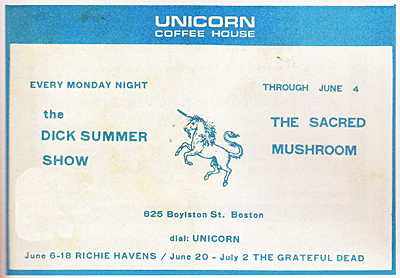 Dick Summer Unicorn